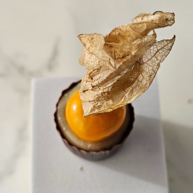 Copinho de Physalis