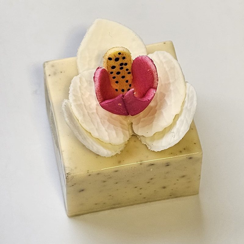Orquídea de Oreo
