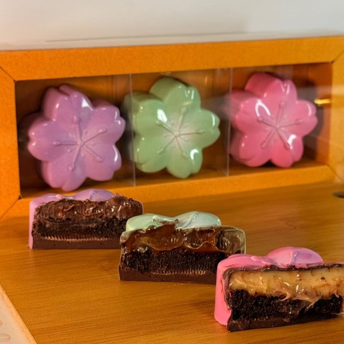 Trio de Sakuras de Brownie